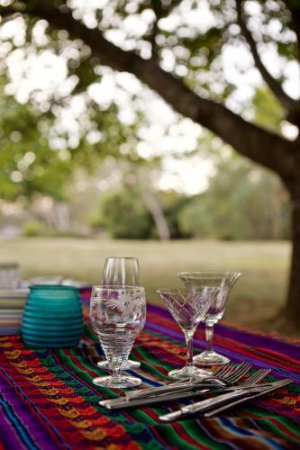A colourful picnic table set under some trees in bushland - Australian Stock Image