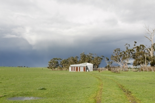 A corrugated iron shed on an Australian farm with green grass and a moody sky in the background - Australian Stock Image