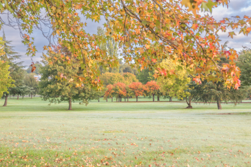 A country park with the colours of autumn - Australian Stock Image