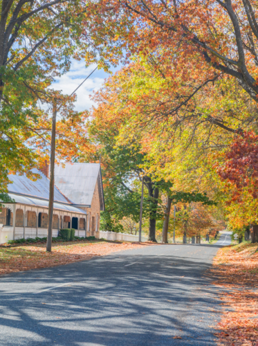 A country road, an old stone house and autumn foliage - Australian Stock Image