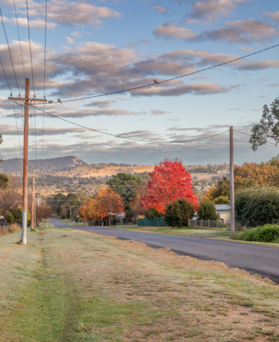 A country road lined by powerlines with trees of autumn - Australian Stock Image