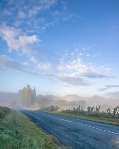 A country road on a misty morning under a cloudy blue sky with poplars in the distance - Australian Stock Image