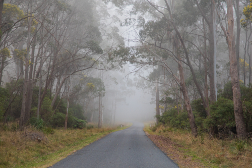 A country road on a mountain on a misty morning - Australian Stock Image