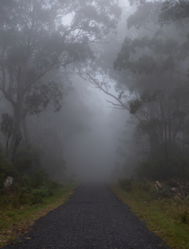 A country road on a mountain on a misty morning - Australian Stock Image