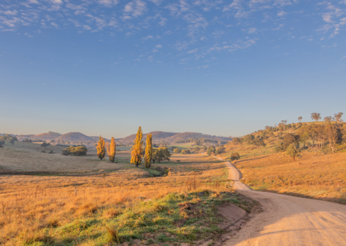 A country road with autumn poplars in the distance under a blue sky with clouds - Australian Stock Image