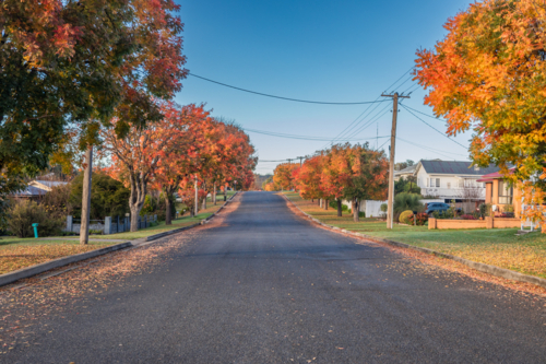 A country road with autumn trees and foliage - Australian Stock Image