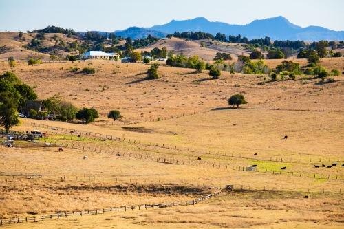 A country rural scene of brown grassy paddocks and hills in Boonah, Australia. - Australian Stock Image