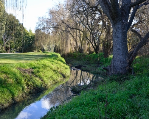 A creek winds its way through a suburban park