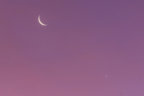 A crescent Moon and star in a pink evening sky - Australian Stock Image