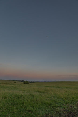 A dawn sky in the country under a setting full moon - Australian Stock Image