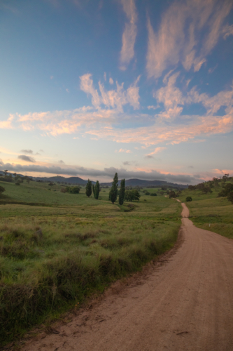 A dirt country road under a sunrise sky with clouds and poplar trees in the distance - Australian Stock Image