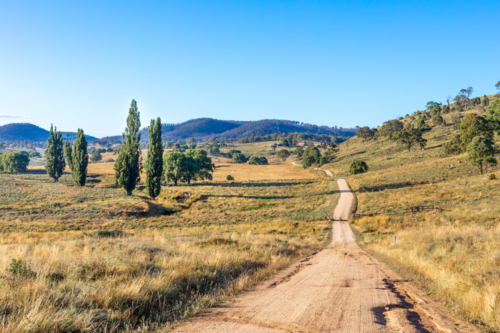 A dirt road, poplar trees and a blue sky - Australian Stock Image