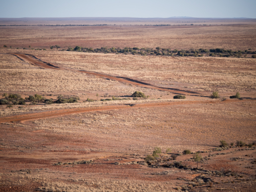 A dirt road running through farmland in outback New South Wales - Australian Stock Image