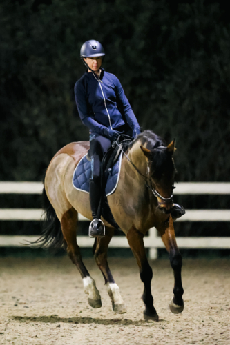 A female practices on her horse in an arena at night - Australian Stock Image