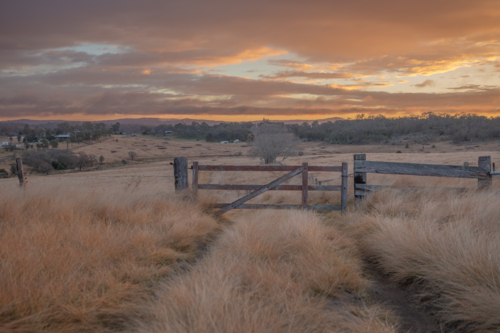 A field, an old timber gate and an orange sunrise sky - Australian Stock Image