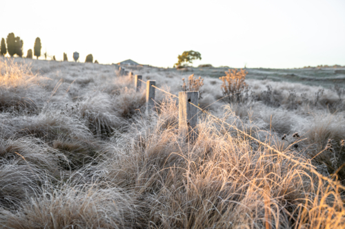 A frosty morning and a frozen field - Australian Stock Image