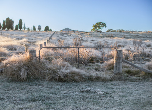 A frozen field, a gate and a winter scene - Australian Stock Image