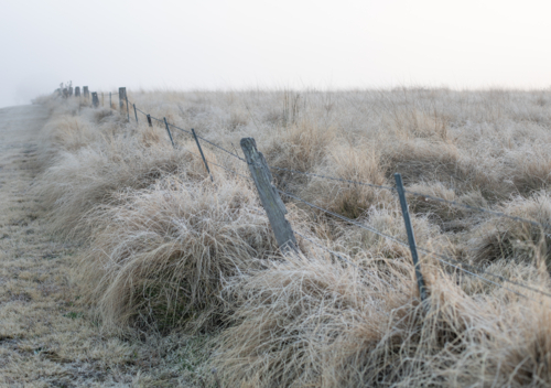 A frozen field, and a fence line on a winter's day - Australian Stock Image
