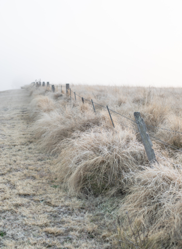 A frozen field, and a fence line on a winter's day - Australian Stock Image