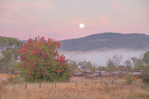 A full moon in a dawn sky overlooking a misty country scene - Australian Stock Image