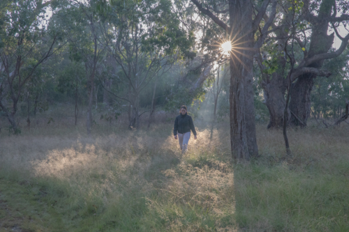 A girl walking through the bush one early morning with the rays of the morning sun - Australian Stock Image