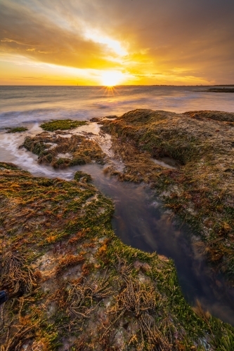 A golden sunset over a seaweed covered rock pool - Australian Stock Image