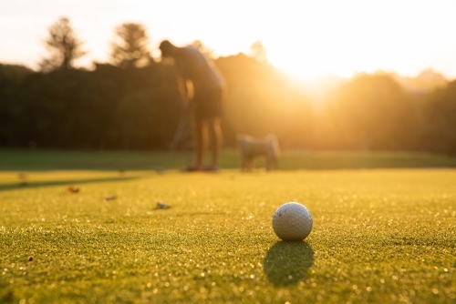 A golf ball sitting on green with golfer and his dog in background