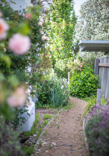 A gravel path in a country garden - Australian Stock Image
