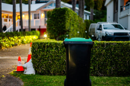 A green bin stands on a well-kept lawn beside bushes, with cars parked nearby at dusk. - Australian Stock Image