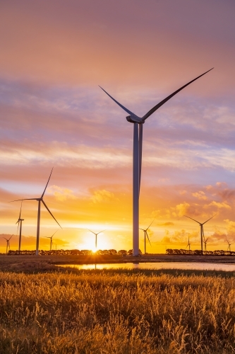A group wind turbines silhouetted against a colourful sunset sky - Australian Stock Image