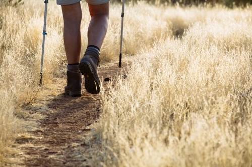 A hikers legs and boots walking along a dry grass lined trail in Central Australia. - Australian Stock Image