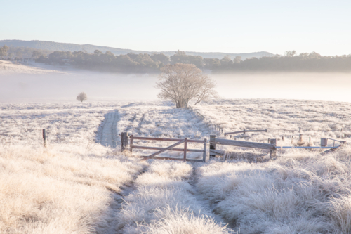 A hoar frost and a country fence and gate - Australian Stock Image