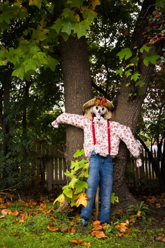 A home made dressed scarecrow in a house garden of Tenterfield - Australian Stock Image