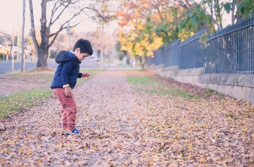 a kid having some fun with autumn leaves - Australian Stock Image