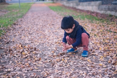 a kid having some fun with autumn leaves - Australian Stock Image
