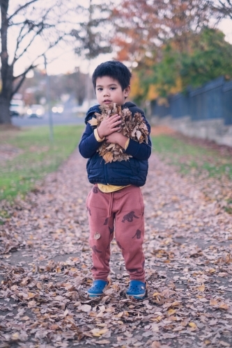 a kid having some fun with autumn leaves - Australian Stock Image