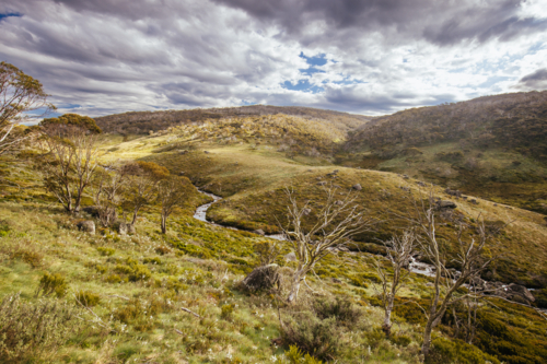 A landscape view in the late afternoon on the Cascade Hut Trail near Dead Horse Gap and Thredo. - Australian Stock Image