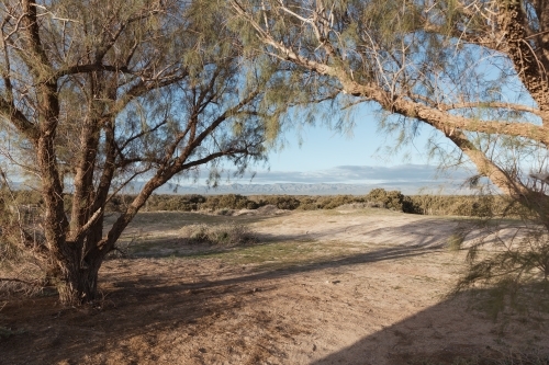 A landscape view of a flat terrain with a walkway, trees, and shrubs - Australian Stock Image