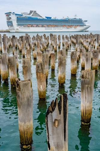 A large cruise docked near many rows of old weathered jetty pylons - Australian Stock Image