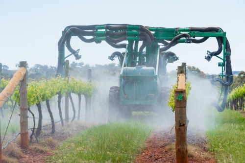 A large tractor spraying rows of grape vines in a vineyard