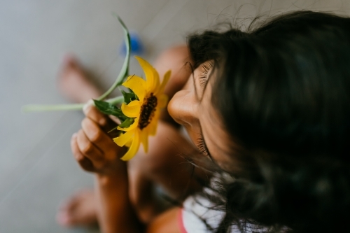 A little girl smelling a sunflower - Australian Stock Image