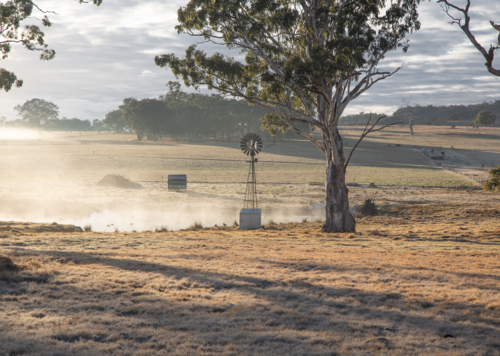 A little windmill with gum trees on a misty morning - Australian Stock Image