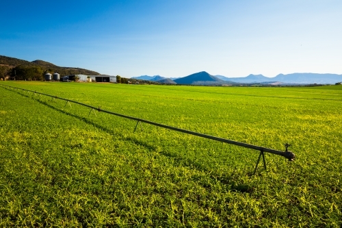 A long metal irrigation pipe and sprinkler system sitting above a green crop near Kalbar, Australia. - Australian Stock Image