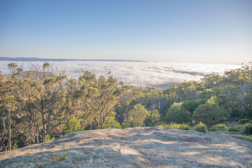 A lookout scene over a granite rock, tree tops and a misty morning - Australian Stock Image