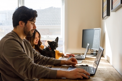 A man and woman working at home with their dog sitting on their lap - Australian Stock Image