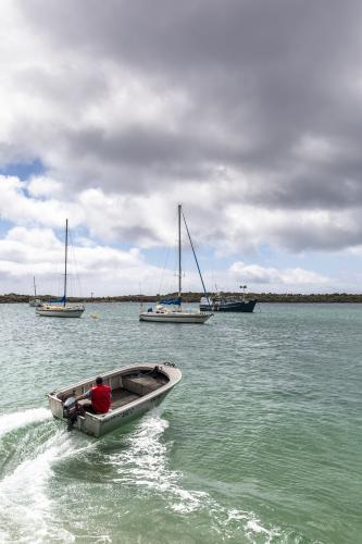 A man speeds away in a dingy at Grassy Harbour - Australian Stock Image