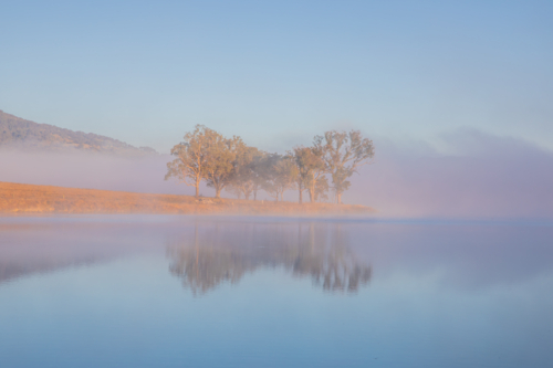 A misty blue sky morning and a reflection of trees on a country dam - Australian Stock Image