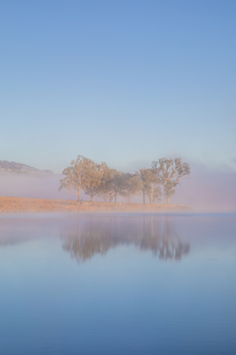 A misty blue sky morning and a reflection of trees on a country dam - Australian Stock Image