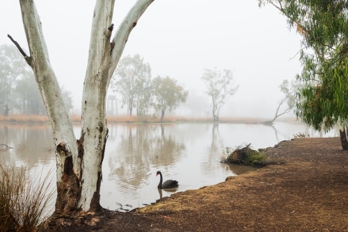 A misty lagoon in the early morning with bare drought ravaged ground.