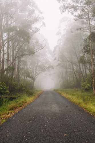 A misty morning and a mountain road - Australian Stock Image
